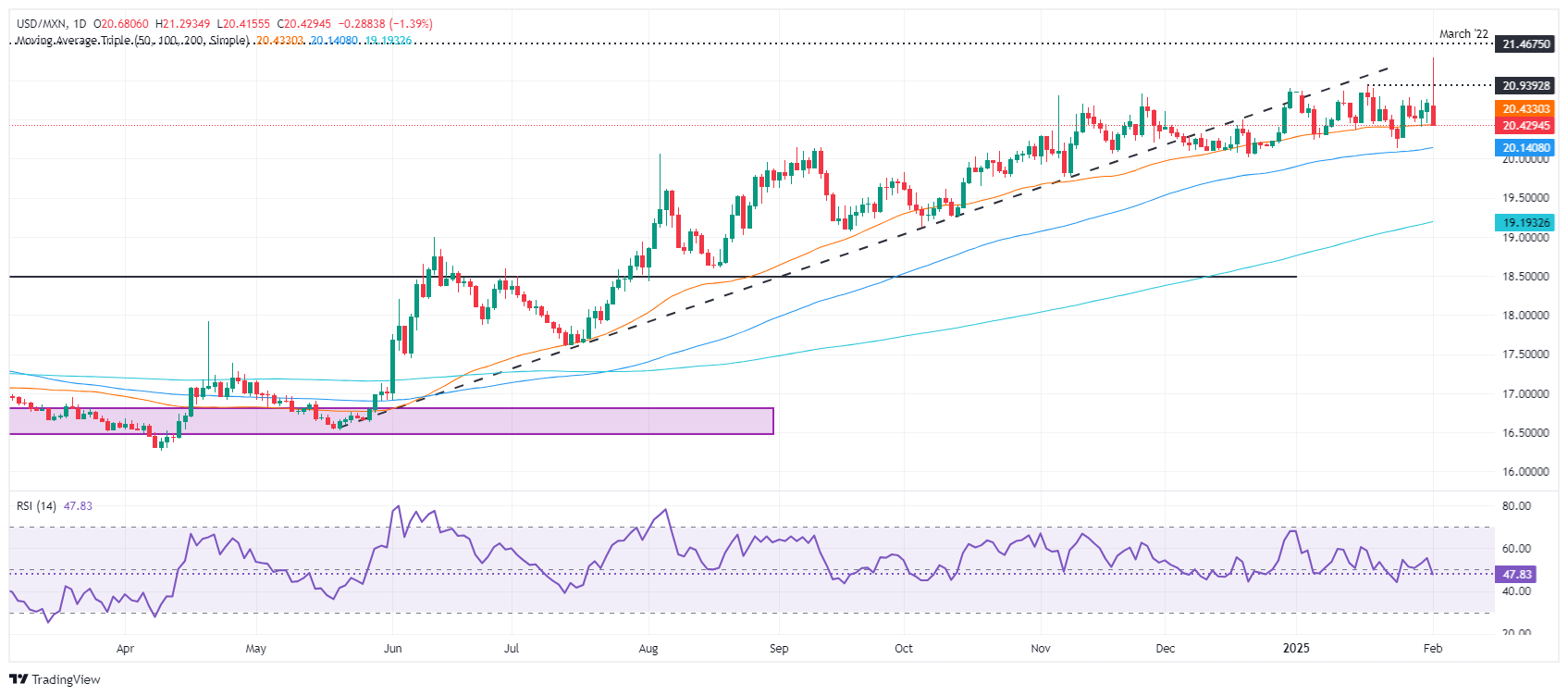 米墨関税一時停止で緊張緩和、メキシコペソ上昇